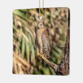 Roter Schulterhawk in einem Baum Keramikornament (Links)