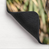 Roter Schulterhawk in einem Baum Mousepad (Ecke)