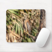 Roter Schulterhawk in einem Baum Mousepad (Mit Mouse)