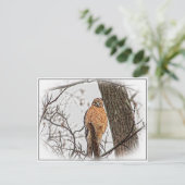 Roter Schulterhawk in einem Baum Postkarte (Stehend Vorderseite)