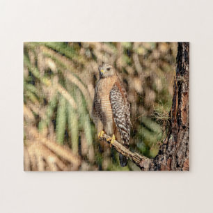 Roter Schulterhawk in einem Baum Puzzle