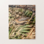 Roter Schulterhawk in einem Baum Puzzle (Vertikal)