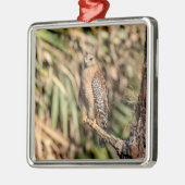 Roter Schulterhawk in einem Baum Silbernes Ornament (Links)
