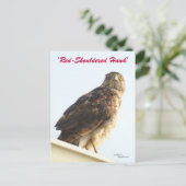 Roter Schulterhawk Postkarte (Stehend Vorderseite)