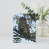 Roter Schüssel (Hoot Owl) Postkarte (Stehend Vorderseite)