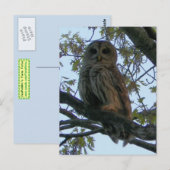 Roter Schüssel (Hoot Owl) Postkarte (Vorne/Hinten)