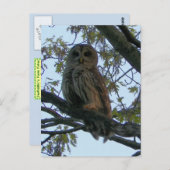 Roter Schüssel (Hoot Owl) Postkarte (Vorne/Hinten)