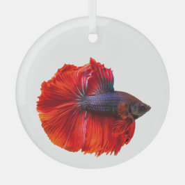 Roter Schwanz Betta Fisch Ornament Aus Glas