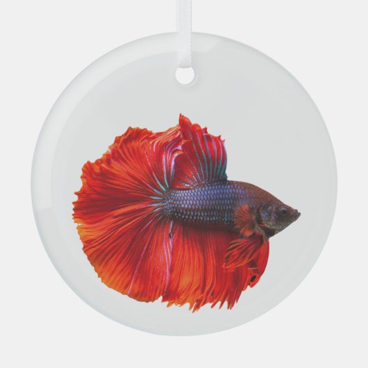 Roter Schwanz Betta Fisch Ornament Aus Glas (Vorderseite)