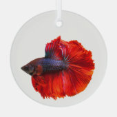 Roter Schwanz Betta Fisch Ornament Aus Glas (Rückseite)