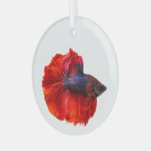 Roter Schwanz Betta Fisch Ornament Aus Glas (Vorderseite links)