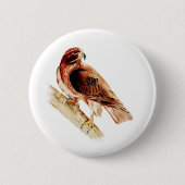 Roter Schwanz-Falke Button (Vorderseite)