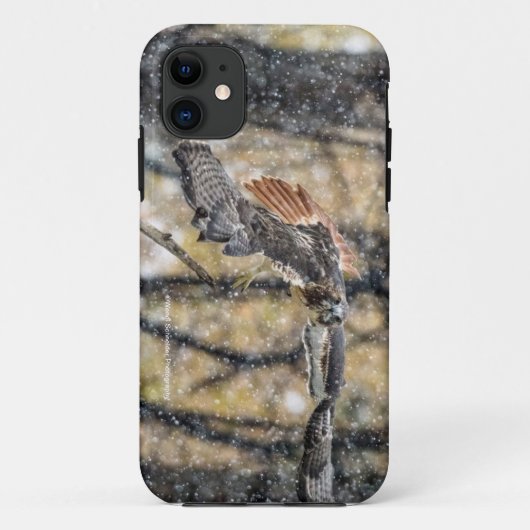 Roter Schwanz-Falke im Schnee iPhone Fall Case-Mate iPhone Hülle (Rückseite)