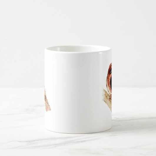 Roter Schwanz-Falke Kaffeetasse (Mittel)