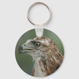 "Roter Schwanz-Falke-" Vogel-Foto-Schlüsselkette Schlüsselanhänger