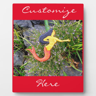 Roter Schwanz Fotoplatte