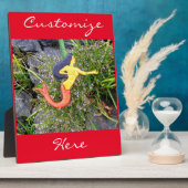 Roter Schwanz Fotoplatte (Seite)