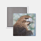 Roter Schwanz-Hawk-Airbrush Magnet (Vorderseite/Rückseite)