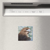 Roter Schwanz-Hawk-Airbrush Magnet (In Situ (Geschirrspüler))