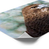 Roter Schwanz Hawk-Airbrush Poster (Ecke)