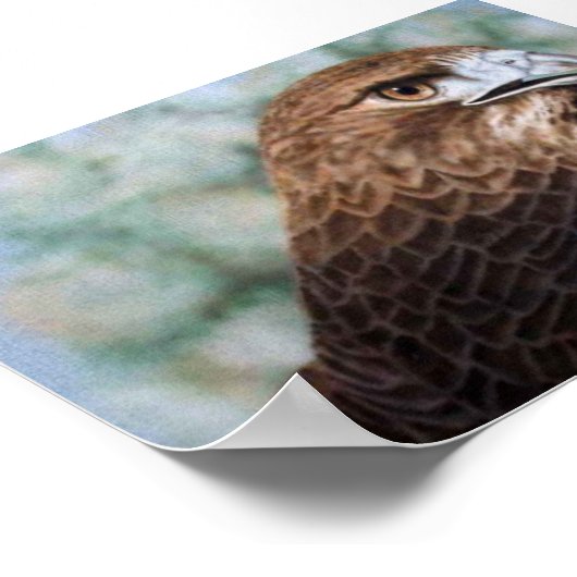 Roter Schwanz Hawk-Airbrush Poster (Ecke)