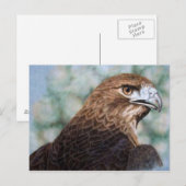Roter Schwanz-Hawk-Airbrush Postkarte (Vorne/Hinten)
