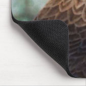 Roter Schwanz Hawk Mousepad (Ecke)