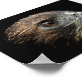 Roter Schwanz-Hawk-Pastellfarben Poster (Ecke)