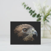 Roter Schwanz Hawk Pastellfarben Postkarte (Stehend Vorderseite)