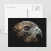 Roter Schwanz Hawk Pastellfarben Postkarte (Vorne/Hinten)