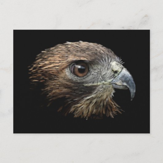 Roter Schwanz Hawk Pastellfarben Postkarte (Vorderseite)