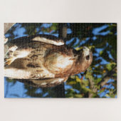 Roter Schwanz Hawk, Raubvogel Puzzle (Horizontal)