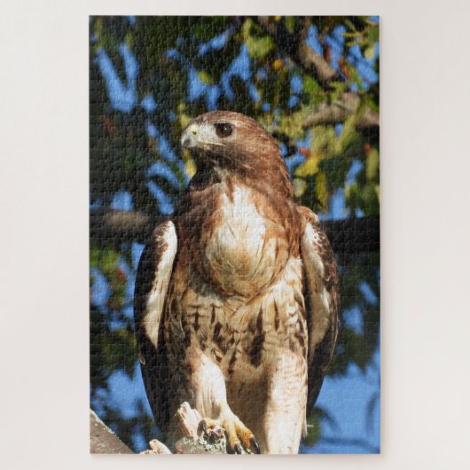 Roter Schwanz Hawk, Raubvogel Puzzle (Vertikal)