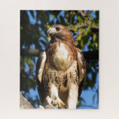 Roter Schwanz Hawk, Raubvogel Puzzle (Vertikal)