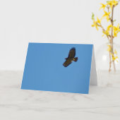 Roter Schwanzfalken Karte (Gelbe Blume)