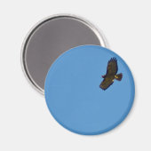 Roter Schwanzfalken Magnet (Vorderseite/Rückseite)