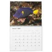 Roter Seehecht - Fische 1 Kalender (Jan 2027)