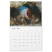Roter Seehecht - Fische 1 Kalender (Mär 2027)