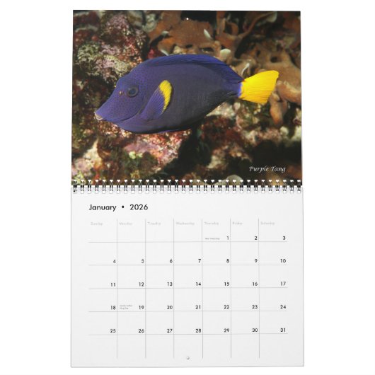 Roter Seehecht - Fische 1 Kalender (Jan 2026)