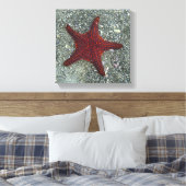 Roter Seeteufel | Galapagos, Equador Leinwanddruck (Insitu (Schlafzimmer))
