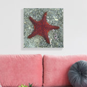 Roter Seeteufel | Galapagos, Equador Leinwanddruck (Insitu (Wohnzimmer))