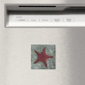Roter Seeteufel | Galapagos, Equador Magnet (In Situ (Geschirrspüler))