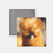 Roter Seidenhühner Magnet (Vorderseite/Rückseite)