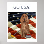 ROTER SETTER CURLING  POSTER (Vorne)