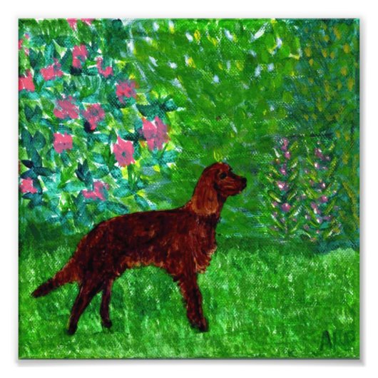 Roter Setter im Garten Hunde Kunst Fotodruck (Vorne)