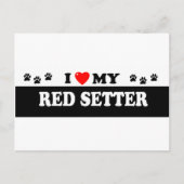 ROTER SETTER POSTKARTE (Vorderseite)