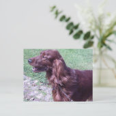 Roter Setter Postkarte (Stehend Vorderseite)