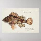 Roter Skorpion von F. E. Clarke 1874 Poster (Vorne)