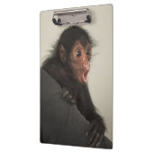 Roter Spinne Ateles paniscus) Klemmbrett (Links)