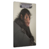 Roter Spinne Ateles paniscus) Klemmbrett (Rechts)